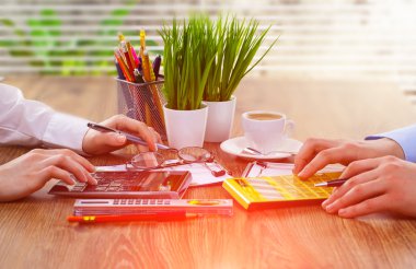 İş Muhasebe Dairesi