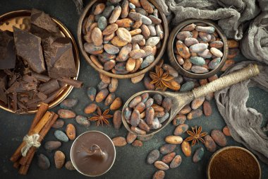 Kakao çekirdeğinin arka planında koyu çikolata ve mutfak malzemeleri.