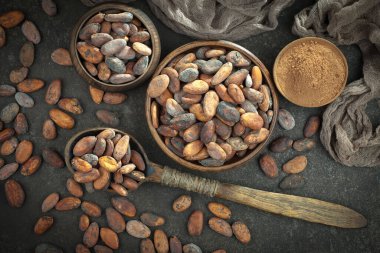 Kakao çekirdeğinin arka planında koyu çikolata ve mutfak malzemeleri.