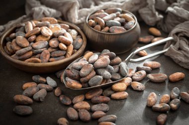 Cocoa beans on old background
