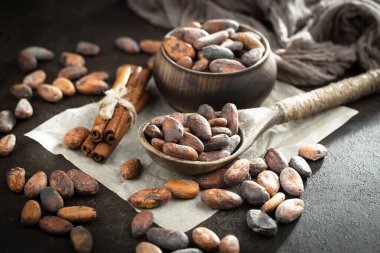 Cocoa beans on old background