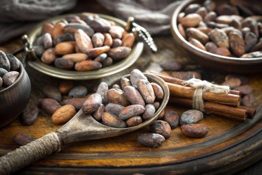 Cocoa beans on old background