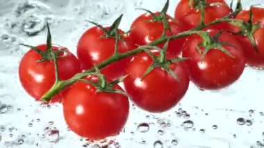 Kırmızı domatesler yavaşça büyük bir su akıntısıyla yıkanır.