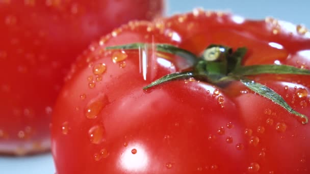 Gotas Agua Gotean Lentamente Sobre Tomates Rojos Maduros — Vídeos de Stock