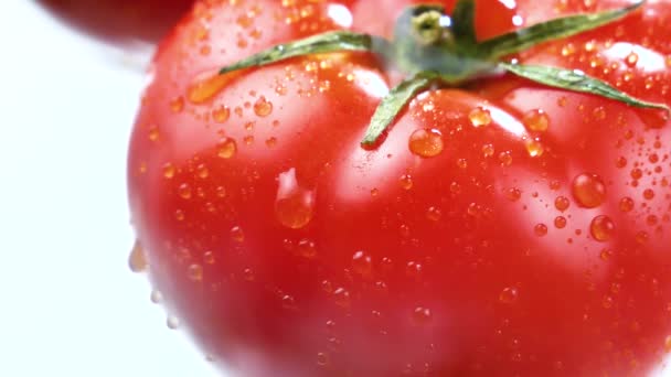 熟した赤いトマトにゆっくりと滴る水の滴 — ストック動画