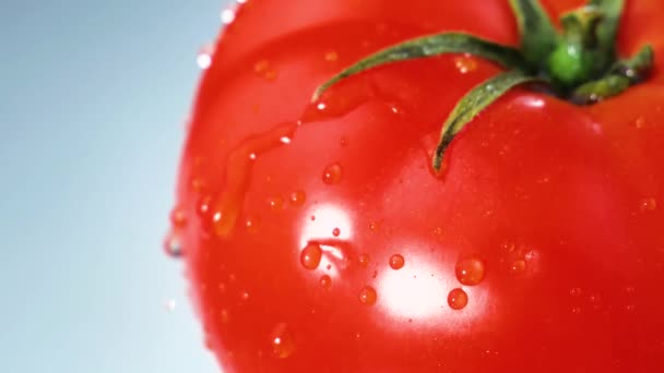 Gotas Água Pingam Lentamente Tomates Vermelhos Maduros — Vídeo de Stock