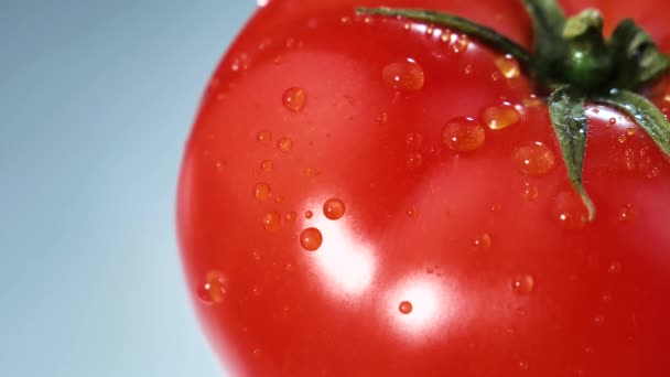 水滴缓缓滴在成熟的红色西红柿上 — 图库视频影像