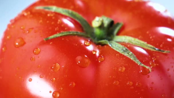 Des Gouttes Eau Coulent Lentement Sur Des Tomates Rouges Mûres — Video