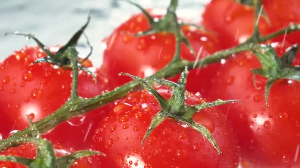 Druppels Water Druppelen Langzaam Rijpe Rode Tomaten — Stockvideo