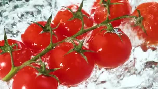 Rode Tomaten Worden Langzaam Gewassen Met Een Grote Waterstroom — Stockvideo