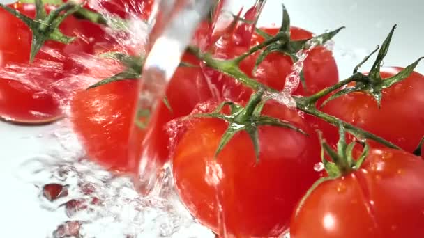 Czerwone Pomidory Powoli Myte Dużym Strumieniem Wody — Wideo stockowe