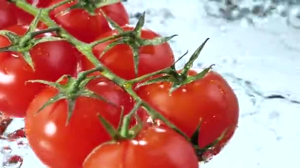 Rode Tomaten Worden Langzaam Gewassen Met Een Grote Waterstroom — Stockvideo