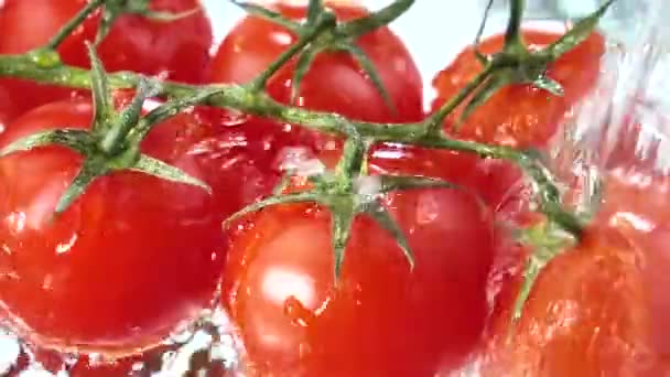 Pomodori Rossi Che Vengono Lentamente Lavati Con Grande Flusso Acqua — Video Stock