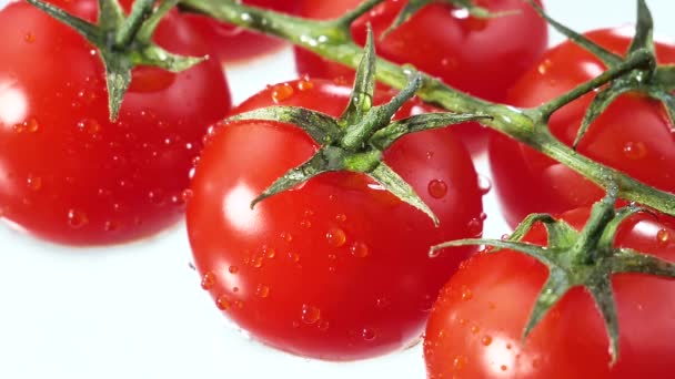熟した赤いトマトにゆっくりと滴る水の滴 — ストック動画