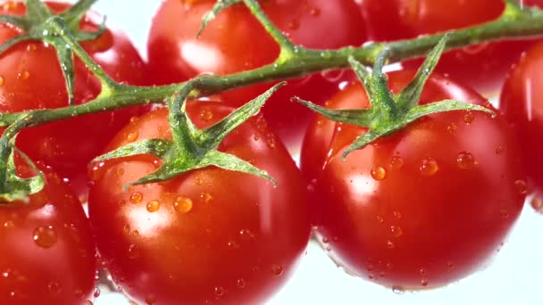 Gotas Agua Gotean Lentamente Sobre Tomates Rojos Maduros — Vídeo de stock