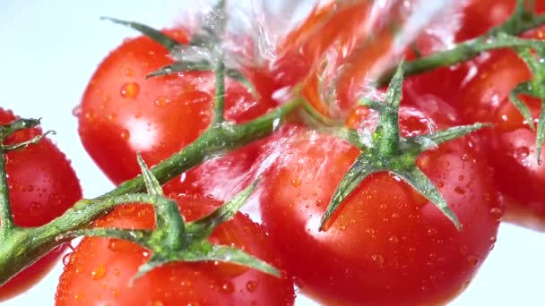 Tomates Rojos Que Lavan Lentamente Con Gran Chorro Agua — Vídeos de Stock