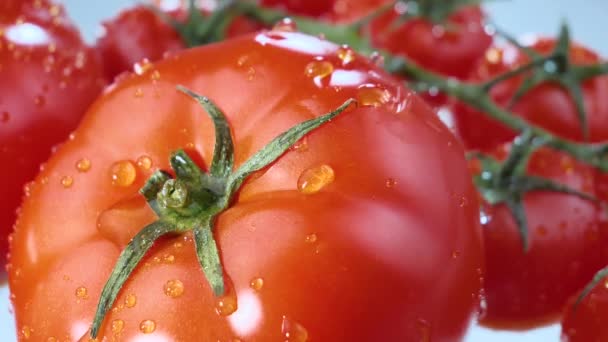 Gotas Agua Gotean Lentamente Sobre Tomates Rojos Maduros — Vídeos de Stock