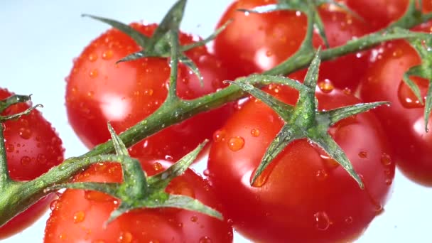 Gotas Água Pingam Lentamente Tomates Vermelhos Maduros — Vídeo de Stock