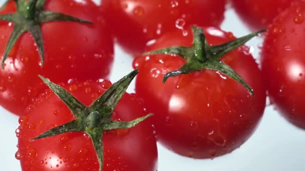 Gotas Agua Gotean Lentamente Sobre Tomates Rojos Maduros — Vídeos de Stock