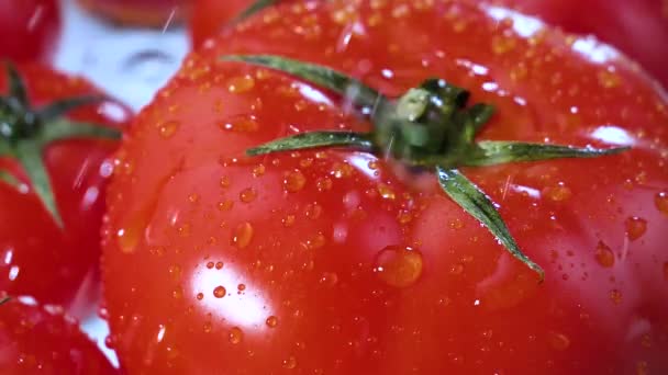 Druppels Water Druppelen Langzaam Rijpe Rode Tomaten Stockvideo's