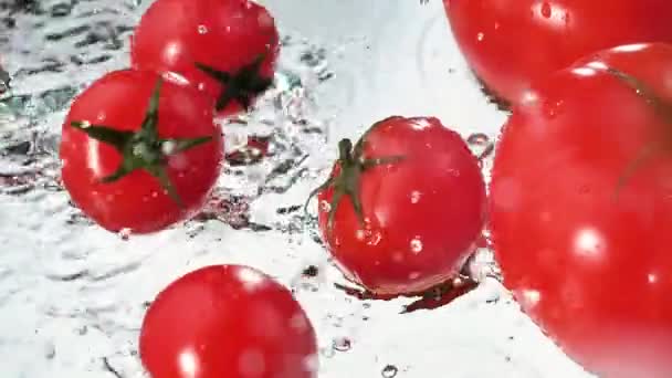 Tomat Merah Perlahan Jatuh Dalam Sepiring Air — Stok Video