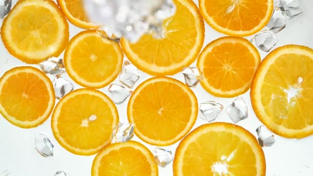 Orange Slices Washed Ice Water — Stock Video