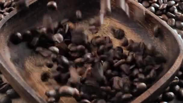 Kavrulmuş Kahve Çekirdekleri Yavaşça Tabağa Düşüyor — Stok video