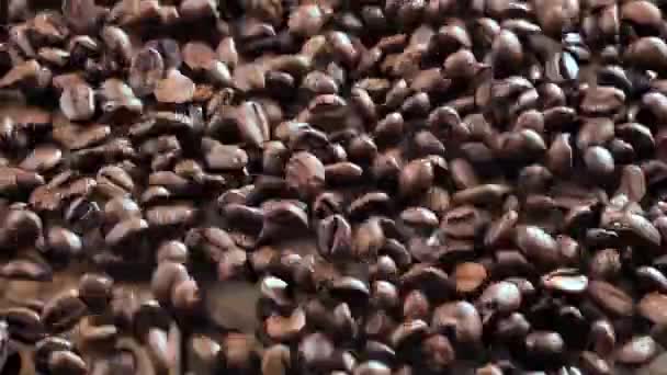 Geroosterde Koffiebonen Stuiteren Langzaam Een Plank — Stockvideo