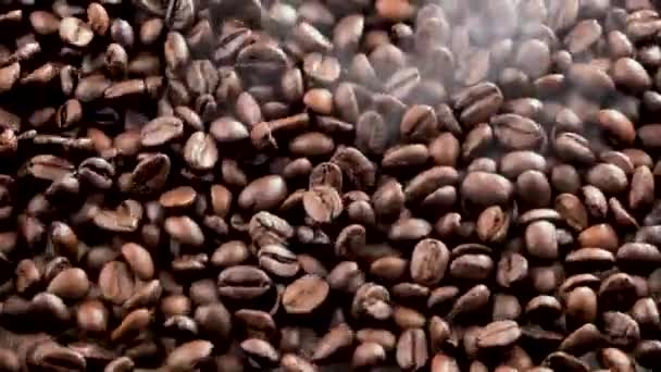 Kavrulmuş Kahve Çekirdekleri Tahtada Yavaşça Zıplıyor — Stok video