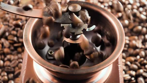 Roasted Coffee Beans Slowly Falling Coffee Grinder — Stock Video