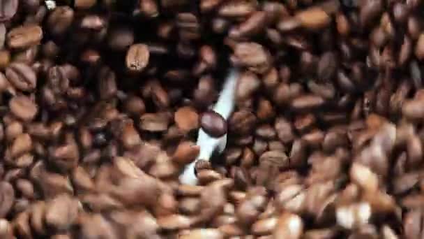 Kavrulmuş Kahve Çekirdekleri Tahtada Yavaşça Zıplıyor — Stok video
