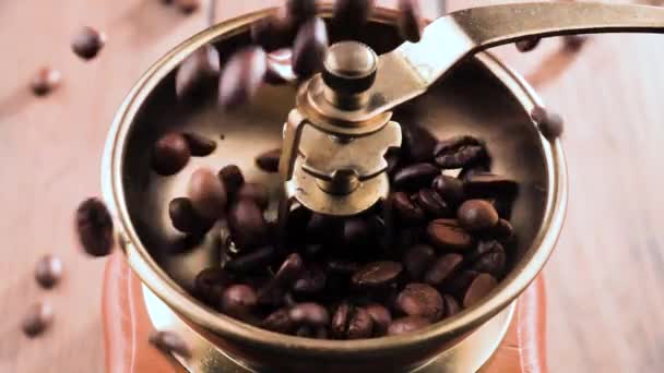 Roasted Coffee Beans Slowly Falling Coffee Grinder — Stock Video