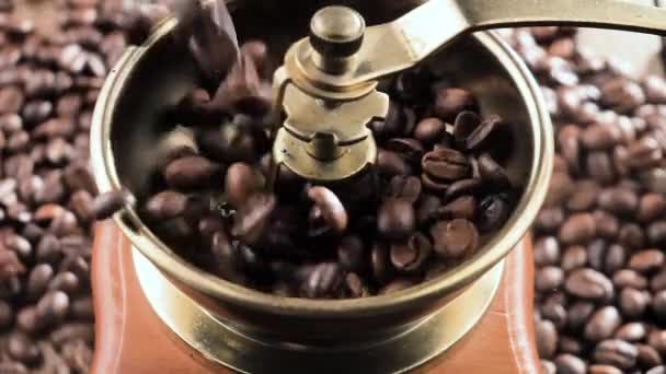 Kavrulmuş Kahve Çekirdekleri Yavaşça Kahve Öğütücüsüne Düşüyor — Stok video