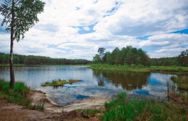 Siyah kahve sıcak içecek