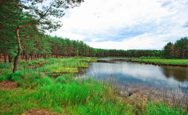Siyah kahve sıcak içecek
