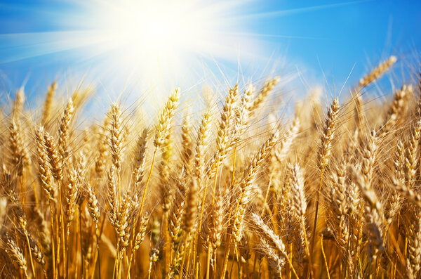 Чёрный кофе