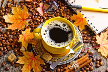 Boyalar ve fırçalar.