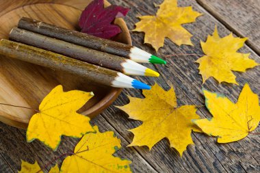 Boyalar ve fırçalar.