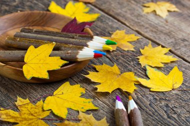 Boyalar ve fırçalar.