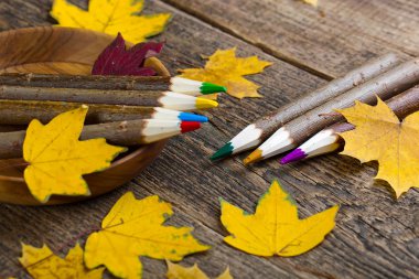 Boyalar ve fırçalar.