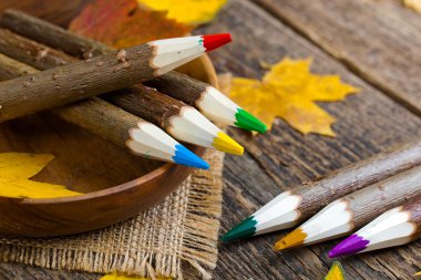 Boyalar ve fırçalar.