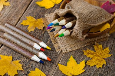 Boyalar ve fırçalar.