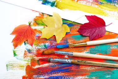 Boyalar ve fırçalar.