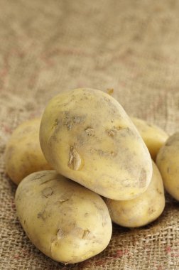 patates yakın çekim