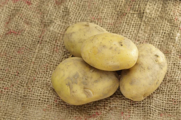 Gros plan sur les pommes de terre — Photo