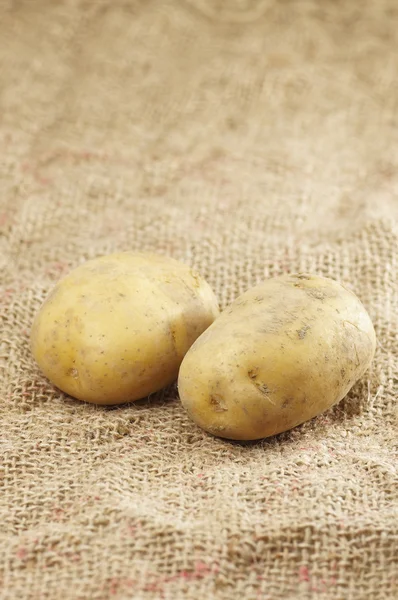 Close up of Potatoes — Stock Photo, Image