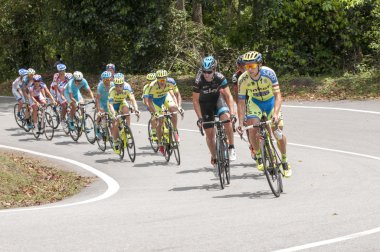 LTdL 2015