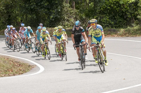 LTDL 2015 — Foto de Stock