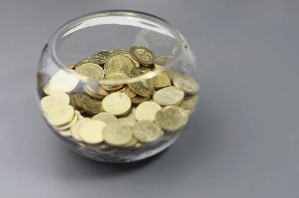 Goldmünzen in der Schüssel - Finanzkonzept — Stockfoto