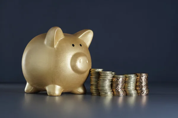 Gouden Piggy en geld - financiële Concept — Stockfoto